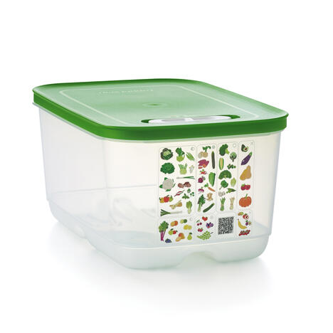 Tupperware علبة ذكية 4.4 لتر 