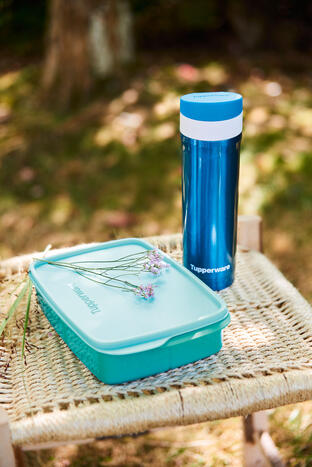 Tupperware Divided Lunch Box 1L 
