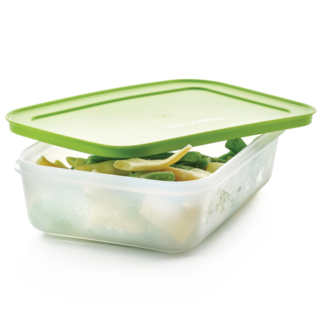 Tupperware Freezer Mates Gen II Medium Low 1L 