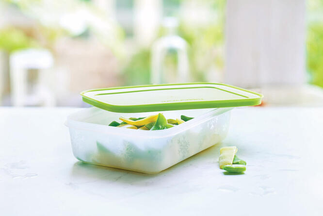 Tupperware Freezer Mates Gen II Medium Low 1L 