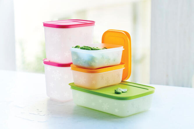 Tupperware Freezer Mates Gen II Medium Low 1L 