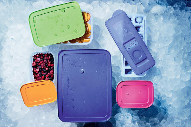 Tupperware Freezer Mates Gen II Medium Low 1L 