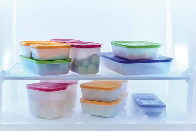 Tupperware Freezer Mates Gen II Medium Low 1L 